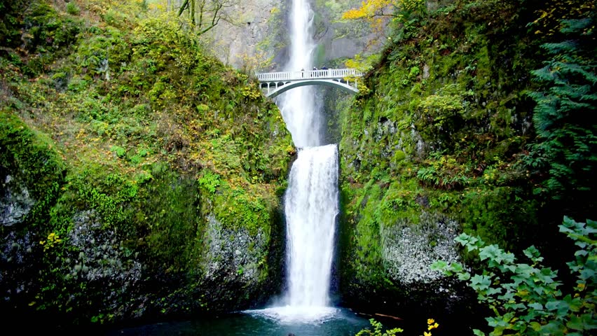 Shows Multnomah Falls, a tall waterfall in Oregon, during the day. A bridge crosses in front of the waterfall. Mossy rocks and trees surround the cascading water.