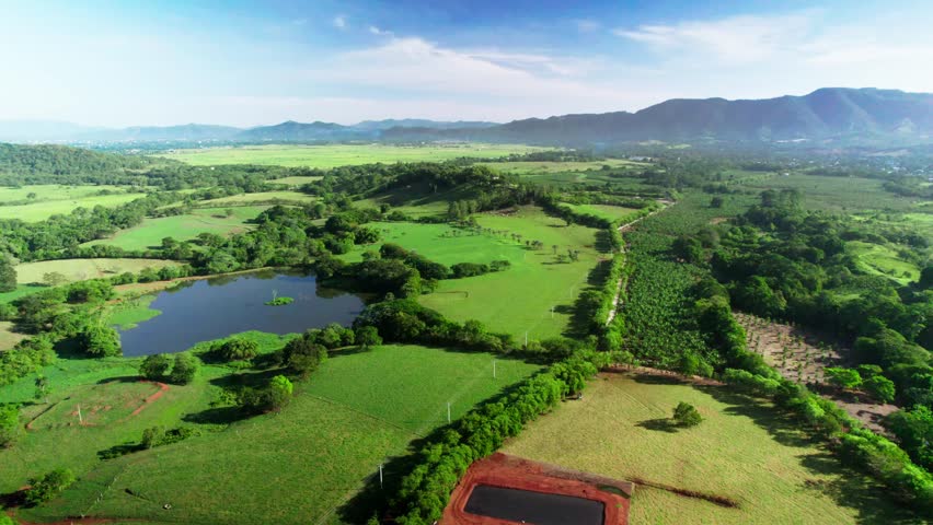 Aerial pan left over lush farmland with a natural lagoon, green fields and rolling hills under clear daylight, showing rural landscape and vegetation.