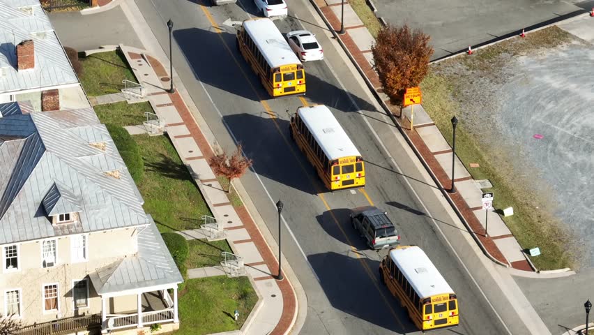 Traffic scene on american road with yellow school buses on sunny day in america. Autumn season in american town. Aerial top down shot. Colored leaves of trees.