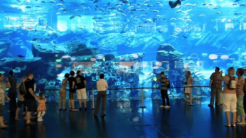 DUBAI, UAE, OCTOBER 16, 2011: Oceanarium inside Dubai Mall. The Dubai Mall is the world's largest shopping mall based on total area and fifth largest by gross leasable area, UAE, October 16, 2011
