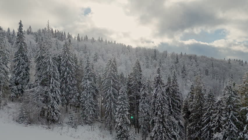 Scenic aerial view of winter forest with pine trees covered in snow on mountain hills under cloudy sky