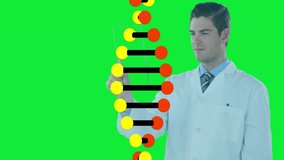 Male scientist holding touchscreen tablet on green backdrop, showing animated molecular model. Research, innovation, technology, science, laboratory, futuristic, education - Powered by Shutterstock - Get 15% off with code: PIKWIZARD15