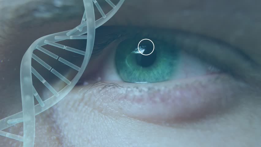 Animation of spinning dna strand over male eye. global science, connections, data processing and digital interface concept digitally generated video.