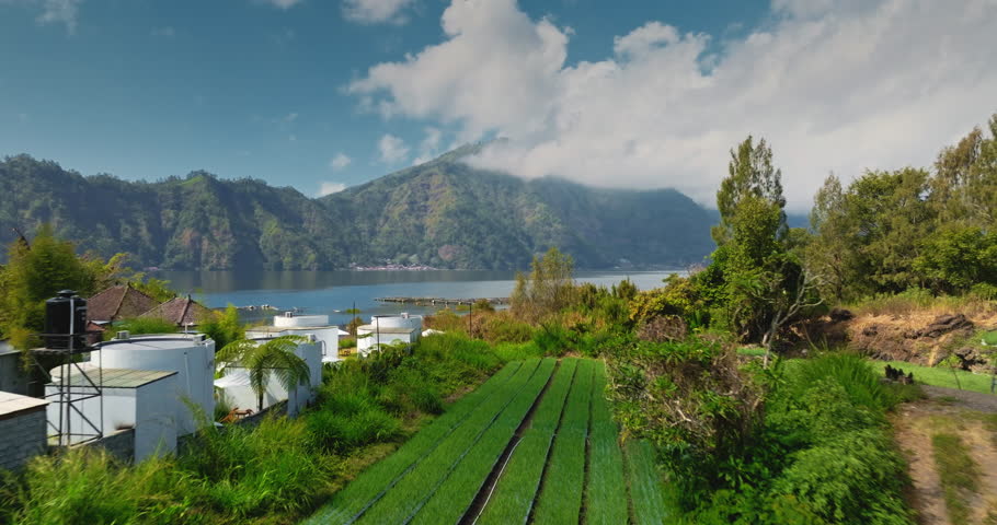 Mount Abang and Lake Batur with agricultural fields in Bali. Lush green terraced agriculture with traditional houses, tropical forest forming a serene landscape in Bali, Indonesia. Aerial view flight