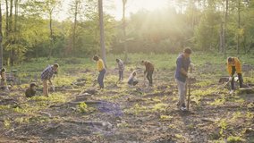 View of volunteers restoring forest land. Mixed group digging soil and planting saplings. Men and women participating in environmental project. Woodland clearing. People protecting nature. - Powered by Shutterstock - Get 15% off with code: PIKWIZARD15