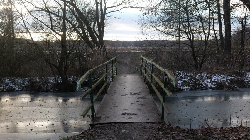 Golden Retriever near the bridge over the stream in winter