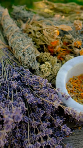 Woman with dried medicinal herbs. Selective focus.