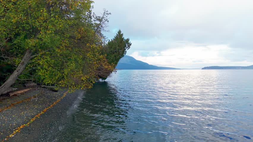 Aerial drone footage of calm ocean water beside a forested shoreline with distant mountains in Cowichan Bay on Vancouver Island, British Columbia, Canada.