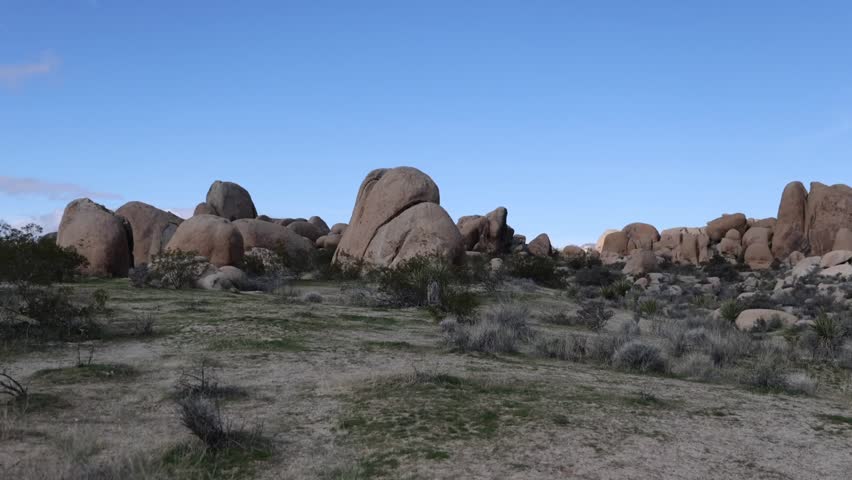 Joshua Tree National Park Landscape on a Beautiful Sunny Day