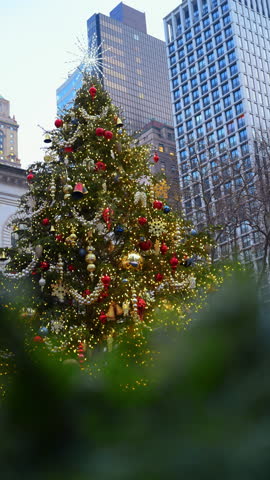 Christmas tree shines in Bryant Park, New York during the holiday season. Visitors enjoy the holiday spirit as a large Christmas tree is decorated with lights