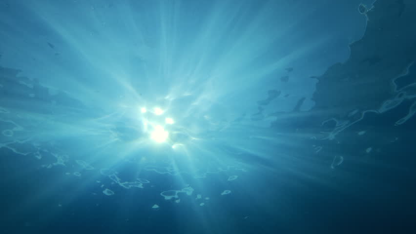 Silhouette of bottlenose dolphin emerges from depths to surface, appearing in bright sun rays, backlit by sunlight. Dolphin swims under dancing sunbeams playing below blue water surface
