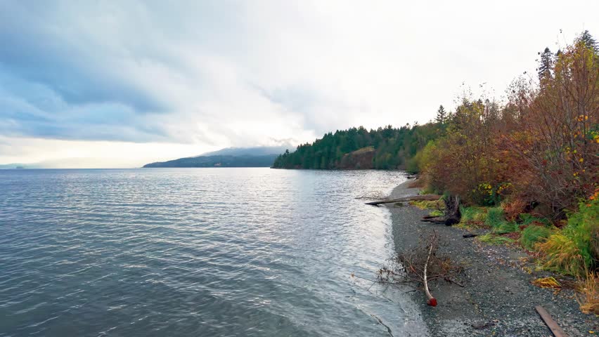 Drone footage of a peaceful rocky shoreline with autumn trees and calm coastal water near Mill Bay on Vancouver Island, British Columbia, Canada.
