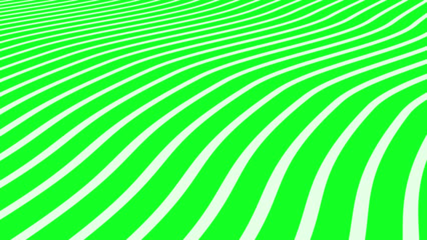 Abstract animation background with smooth, wavy lines. White curved lines on green screen chroma key background