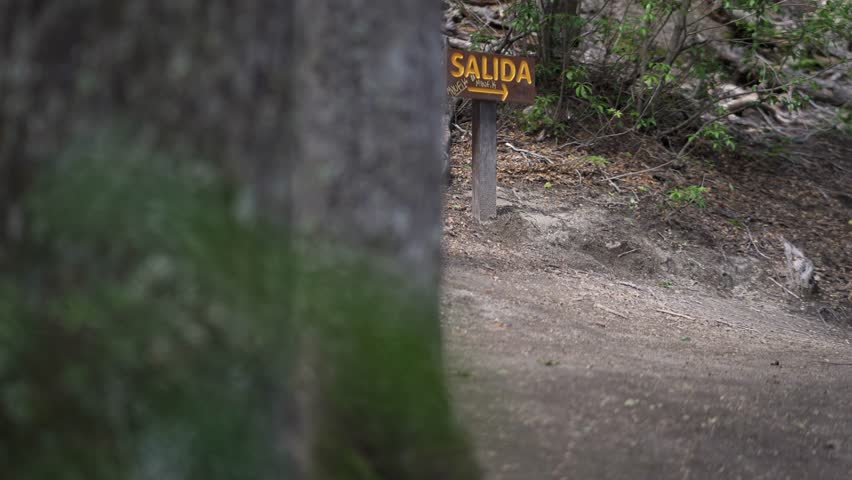 Close-up of a hiker