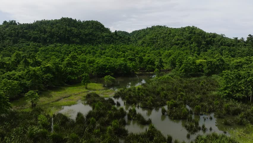 Wetland area with patches of water surrounded by forested hills and vegetation. Siargao, Philippines.