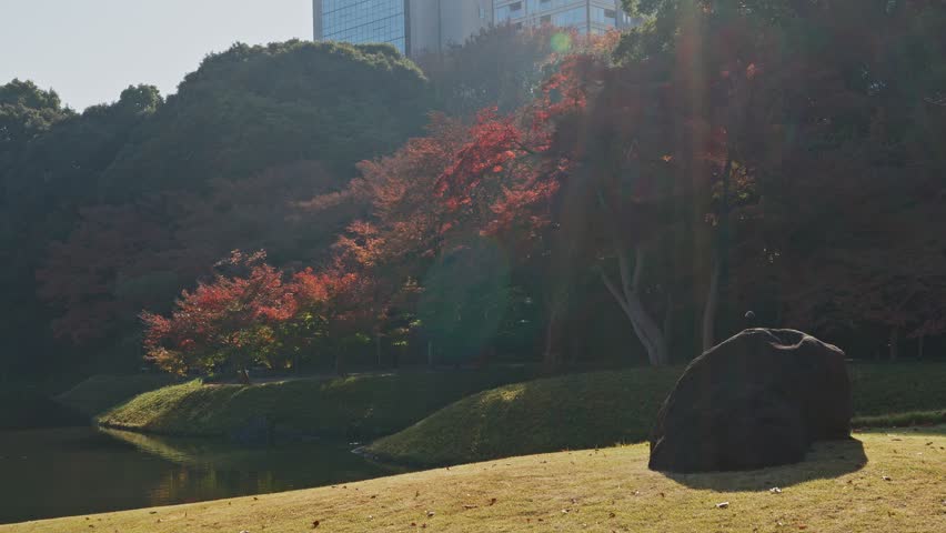 Soft autumn sunlight and lens flare illuminate a manicured grassy bank and colorful trees beside a still pond, with city buildings visible in the distance.