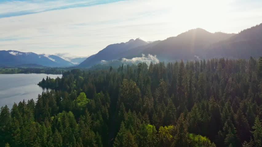 Aerial drone view of Lake Quinault in Olympic National Park, Washington, showing calm waters, dense rainforest, and mountain scenery. Ideal for nature, travel, and landscape footage