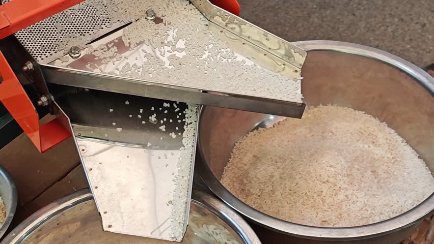 Rice is currently falling below in the rice mill industrial to pile of rice.