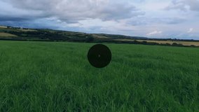 Music and camera icons connected by lines, network animation over green landscape. technology, connection, digital, communication, multimedia, outdoors - Powered by Shutterstock - Get 15% off with code: PIKWIZARD15