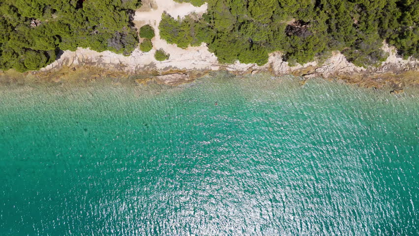Exploring the clear waters and shoreline at a coastal location in daylight