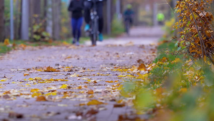 A peaceful autumn scene of a cycling path with fallen leaves in captured in high definition.