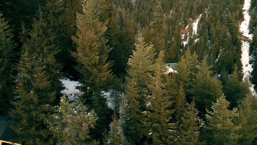 Aerial drone footage of wooden A-frame cabins surrounded by dense evergreen pine forest on a snowy mountain slope. The cabins stand on stilts among tall conifer trees with patches of snow on the ground, viewed from multiple heights and angles as the drone hovers and ascends. Scenic mountain landscape suitable for travel, nature, and real estate concepts.