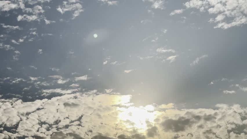 ush leafy trees and a bare-branched tree stand in dark silhouette against a pale, fading twilight sky.