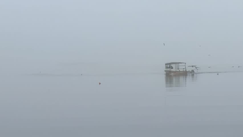 Crab boat on a river with pelicans flying around it