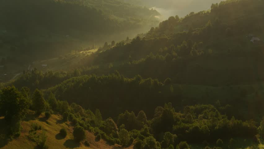 Stunning drone footage of sunlight breaking through mist over a lush green valley in the Carpathian Mountains.