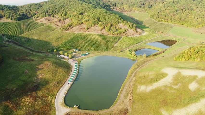 Peaceful drone shot of calm lakes and lush rolling hills in a rural landscape during a beautiful sunny day.