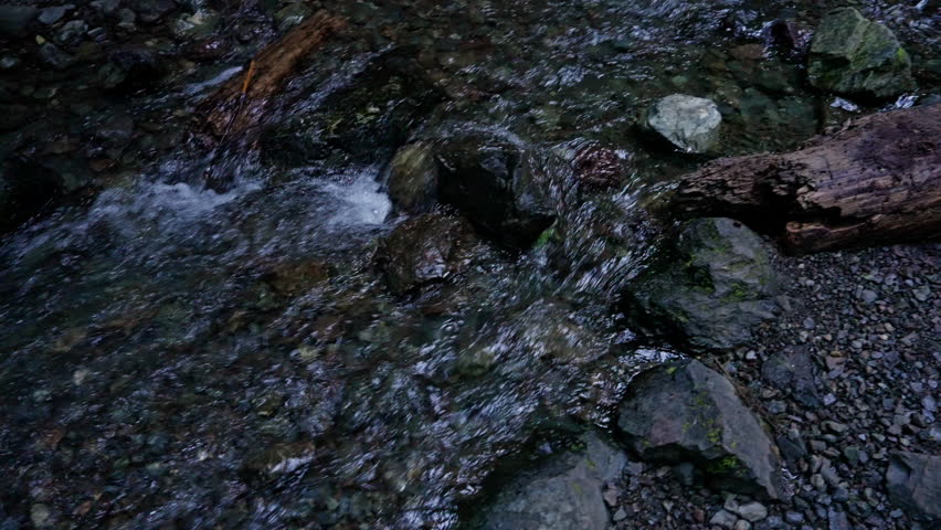 Waterfall in Olympic National Park, Washington, cascading through lush forest and moss-covered rocks. Scenic, tranquil nature ideal for travel and landscape footage
