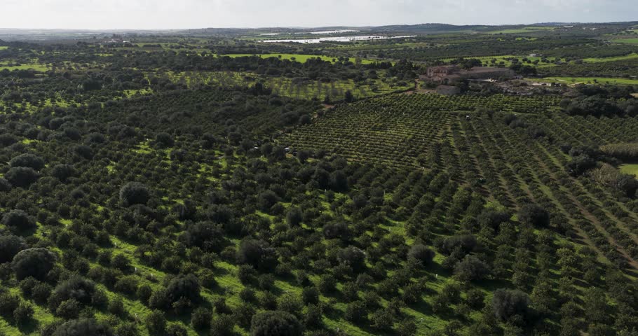 Aerial view of Vendicari National Park, Italy.