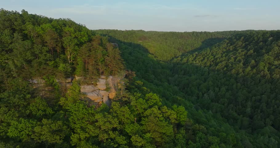 Lush forest view of Red River Gorge, calm and serene landscape