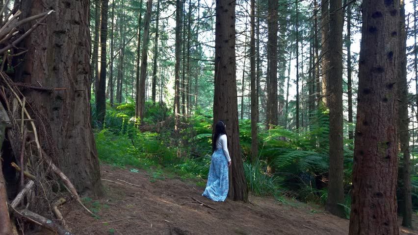 A serene view of a woman walking through lush, towering trees in Woolrich Forest Park, Melbourne. The sunlight filters softly through the canopy, creating a peaceful, natural atmosphere.