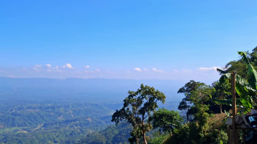 tropical forest landscape with mountains and blue sky