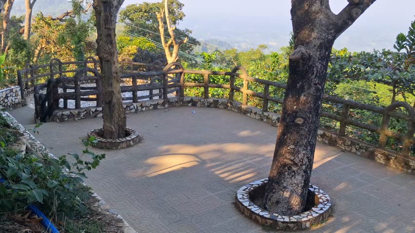 tree surrounded by fence and paved area outdoors