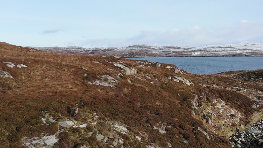 Drone shot of a White Tailed Sea Eagle, perched on a rock before taking flight.