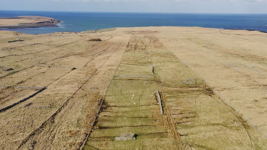 Drone shot of a long croft field on the west coast of the Western Isles.
