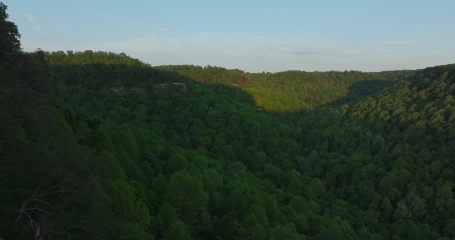 Scenic view of lush forest rocky overlook in Red River Gorge, Kentucky