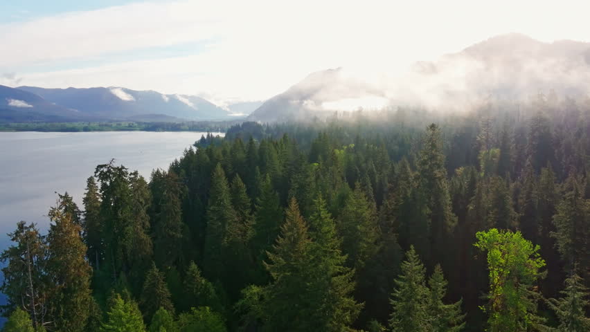 Aerial drone view of Lake Quinault in Olympic National Park, Washington, showing calm waters, dense rainforest, and mountain scenery. Ideal for nature, travel, and landscape footage