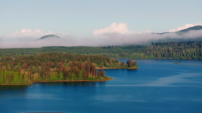 Aerial drone view of Lake Quinault in Olympic National Park, Washington, showing calm waters, dense rainforest, and mountain scenery. Ideal for nature, travel, and landscape footage