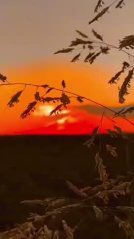 Intense red and orange sunset sky viewed through the silhouettes of tree branches.