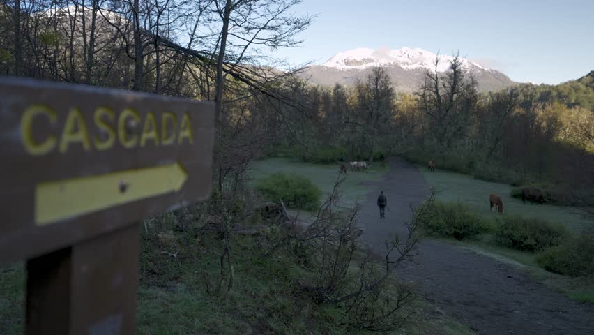 Long shot of a hiker walking on a dirt path through a meadow with grazing horses toward snow-capped mountains, past a wooden sign reading "CASCADA"