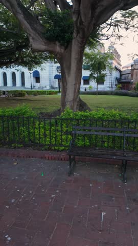 A bench is in front of a tree in a park