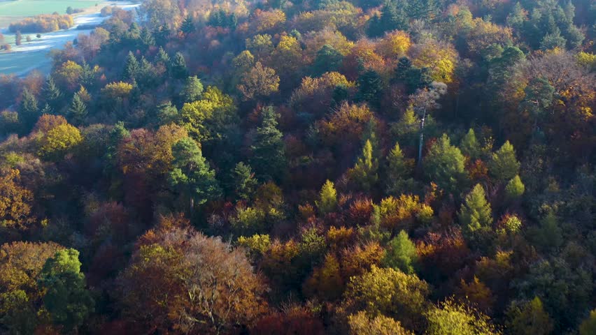Aerial panoramic view around colourful autumn trees in the black forest in Germany on a sunny day.
