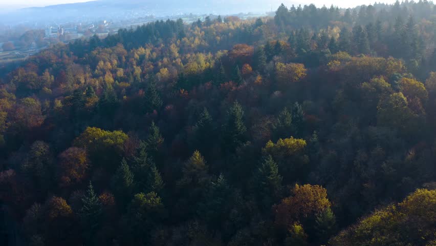Aerial panoramic view around colourful autumn trees in the black forest in Germany on a sunny day.
