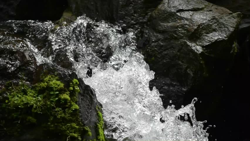 Crystal Clear Water Running Through Forest Rocks