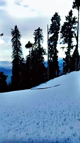 Stunning snowy forest landscape with white snow on trees, creating a serene winter scene full of natural beauty and tranquility.