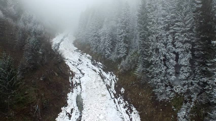 Aerial view of glacier avalanche corridor cutting through snowy pine forest in mist mountain. Icy chute with fir trees, fog, frozen debris, and natural avalanche path landscape.