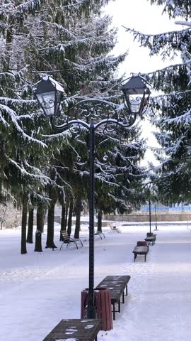 A tranquil winter park scene blanketed in fresh snow, featuring snow-draped evergreen trees, classic iron street lamps with intricate designs, and empty wooden benches. The frozen pond and distant blu